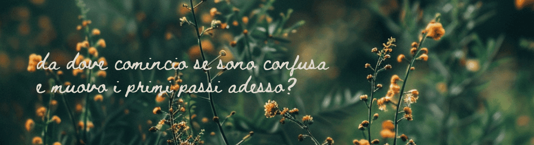 Sfondo verde con fiori gialli e un testo in bianco che dice: da dove comincio se sono confusa e muovo i primi passi adesso?