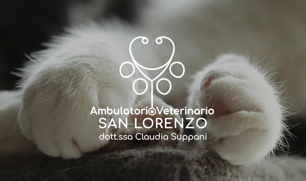 Logo ambulatorio veterinario San Lorenzo