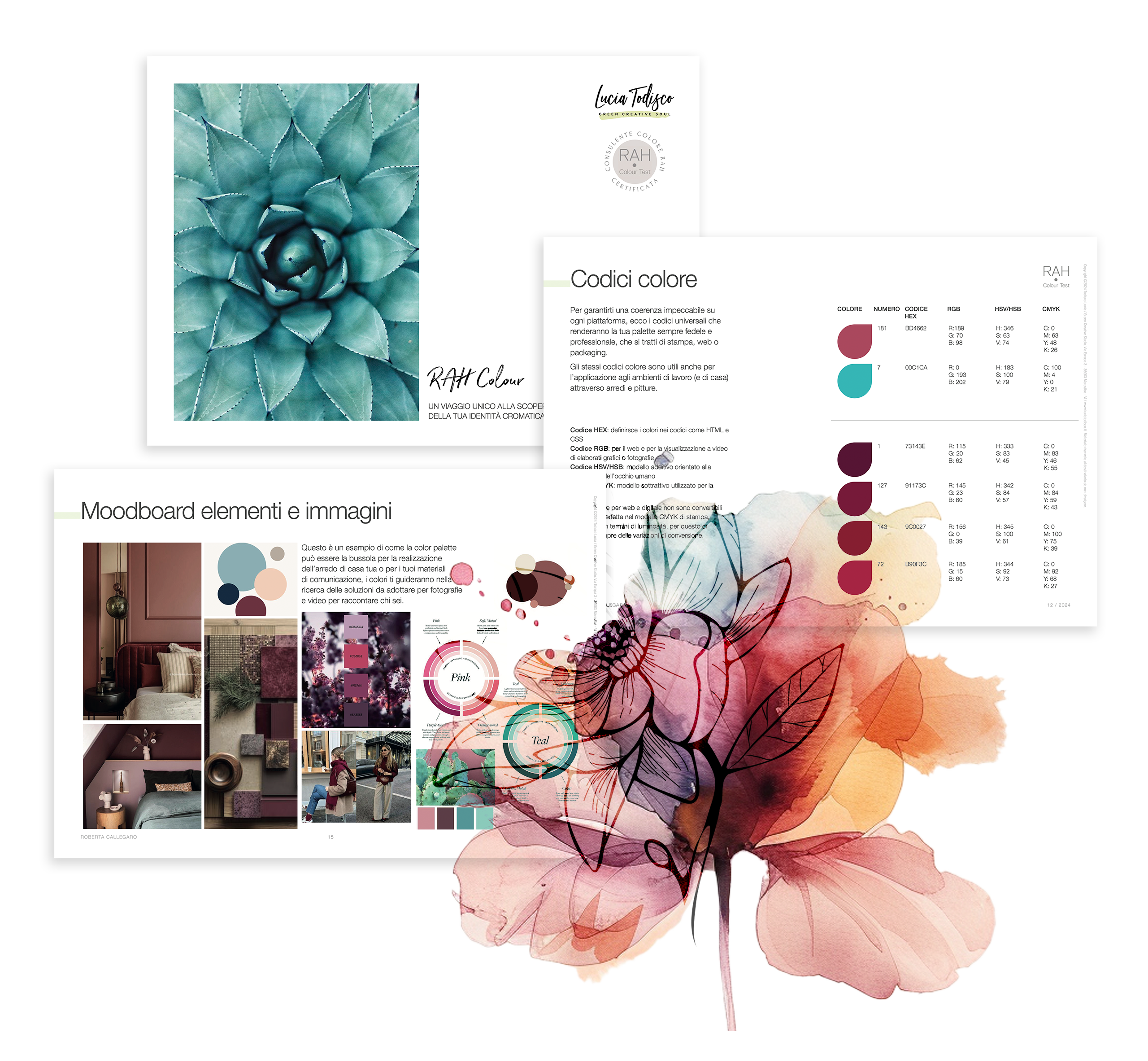 Elaborazione consulenza colore RAH